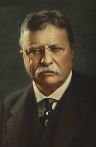 Theodore_Roosevelt_portrait