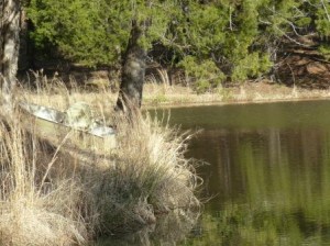 boat in high grass by lake for blog