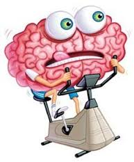 brain on cycle