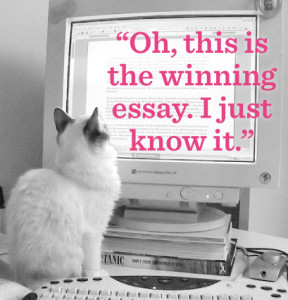 cat2_essaycontest