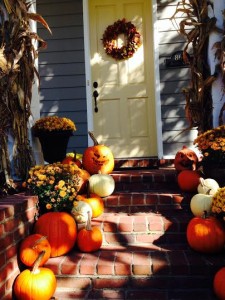 lots of pumpkins