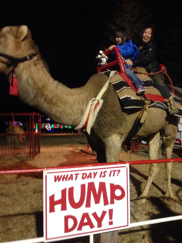 hump day