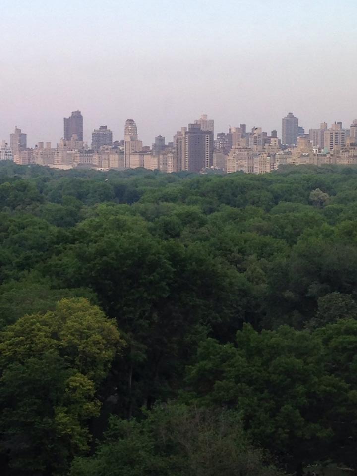 View of Central Park from Robert Restaurant.