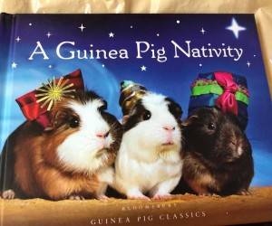 Guinea Pig Nativity book