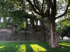 Between the cobblestone streets and the ancient architecture, Koblenz is a lush, green village.