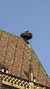 stork on cathedral