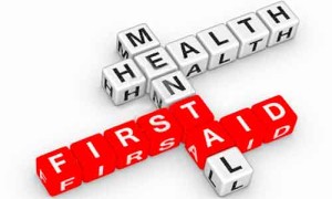 mental-health-first-aid-3d-crossword_0